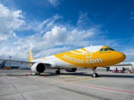 Scoot A321neo Airbus